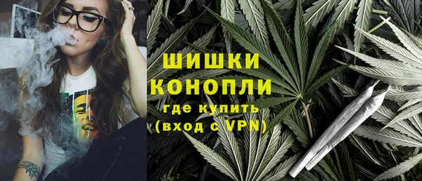 хмурый Дмитров