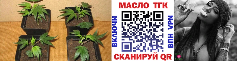 купить наркотик  Луза  Дистиллят ТГК THC oil 