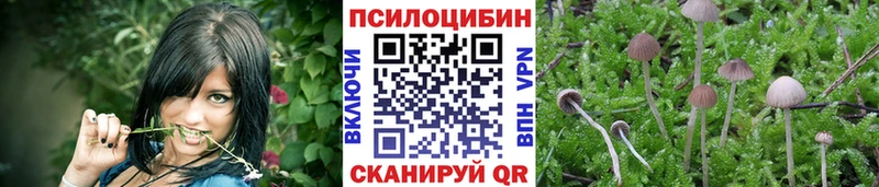 Галлюциногенные грибы мухоморы  где можно купить   Луза 
